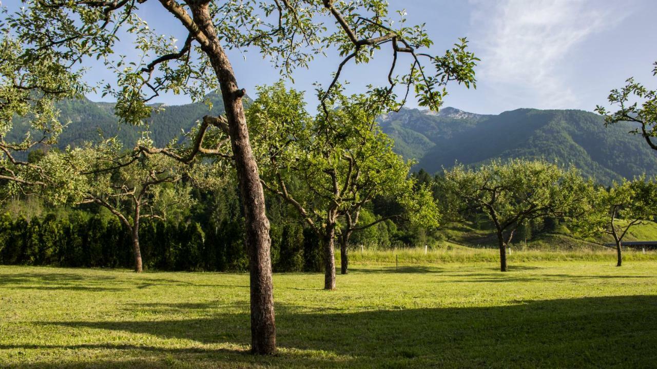 Green Garden Apartments Soklic Bohinj Esterno foto